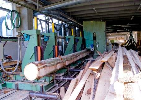 fgf 205